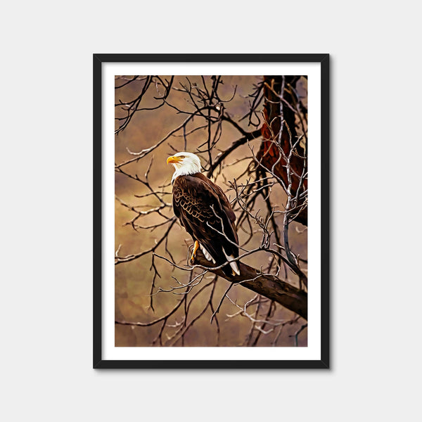 Bald Eagle Wall Art — Framed Print Format preview