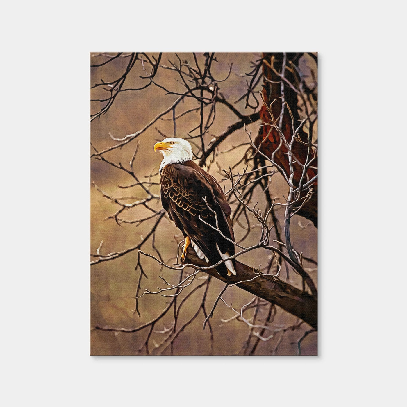 AUTO-MOCKUP WHITE | Bald Eagle | 1 Piece | Gallery Wrap | group=3x4