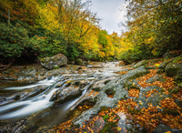 Balsam Grove North Carolina Wall Art
