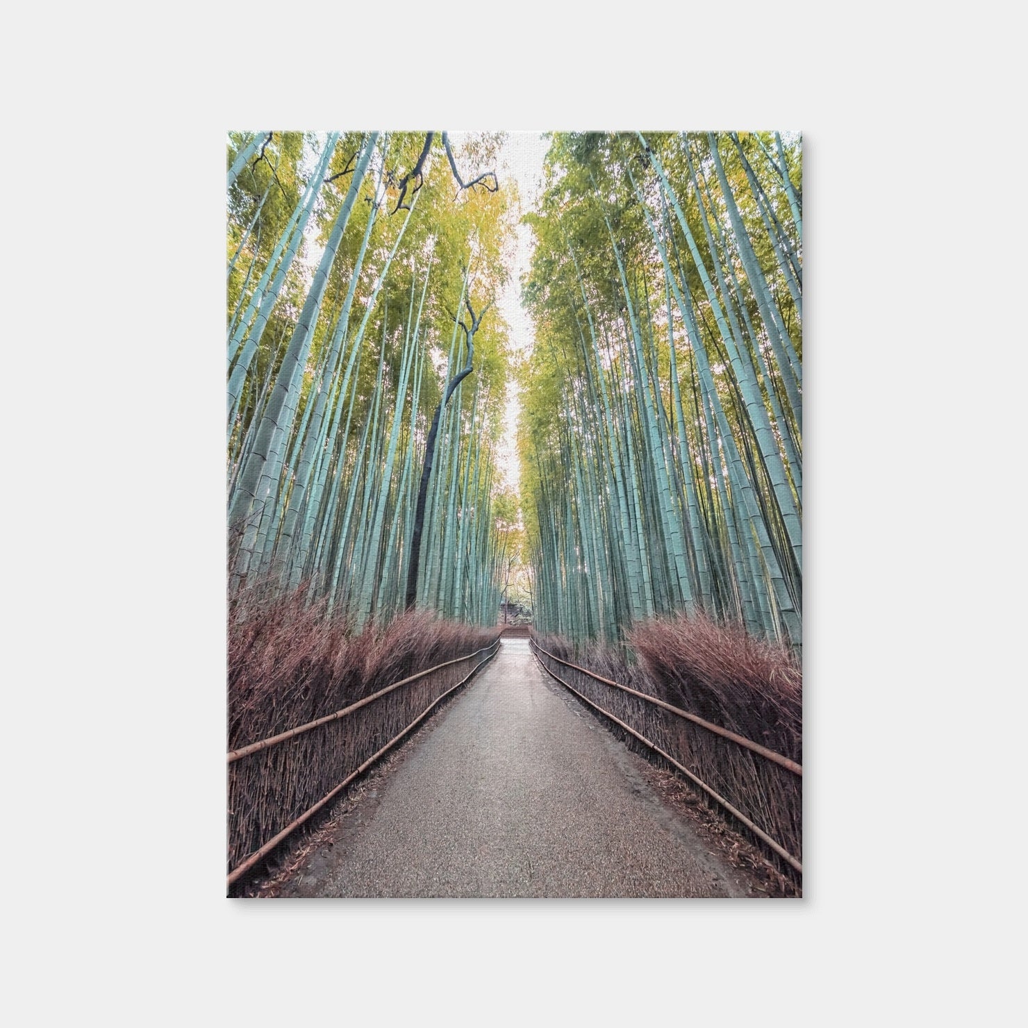 AUTO-MOCKUP WHITE | Bamboo Alley | 1 Piece | Gallery Wrap Canvas | group=3x4
