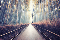 Bamboo Forest Wall Art
