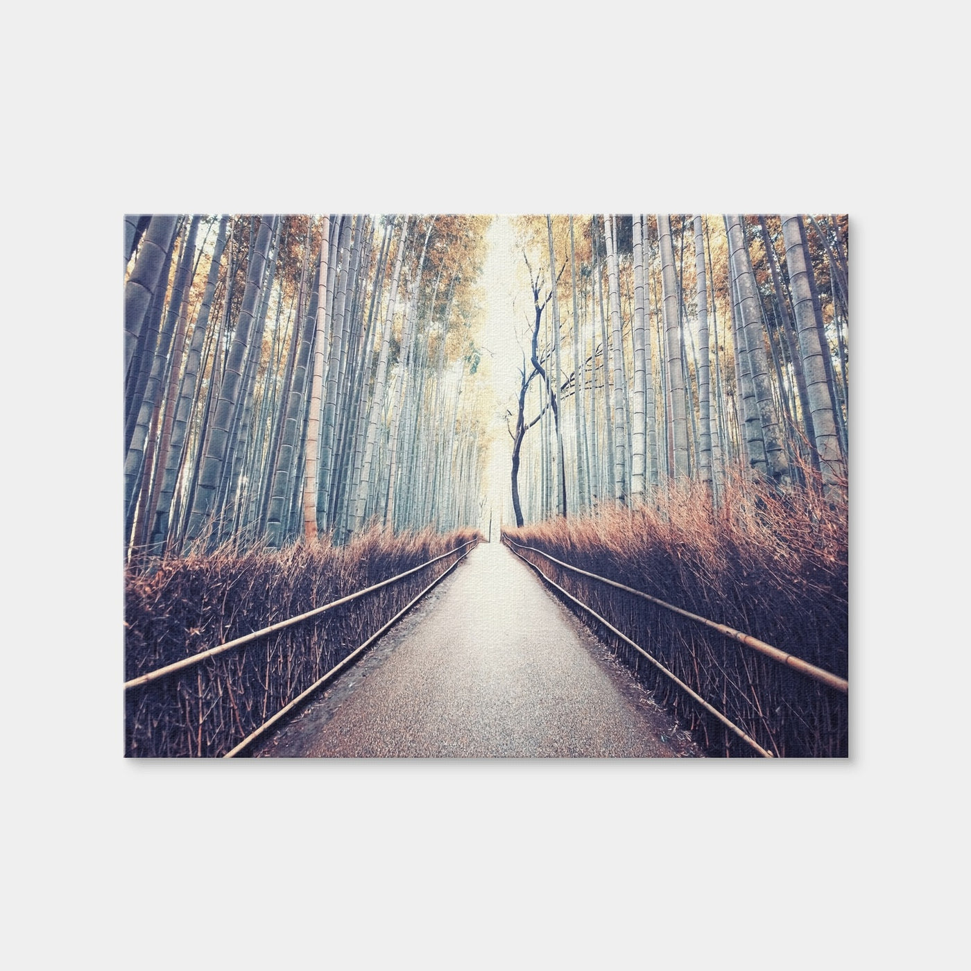 AUTO-MOCKUP WHITE | Bamboo Forest | 1 Piece | Gallery Wrap Canvas | group=4x3