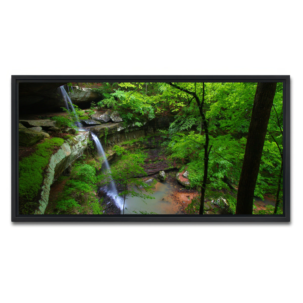 AUTO-MOCKUP WHITE | Bankhead National Forest | 1 Piece | Black Framed Canvas | group=2x1