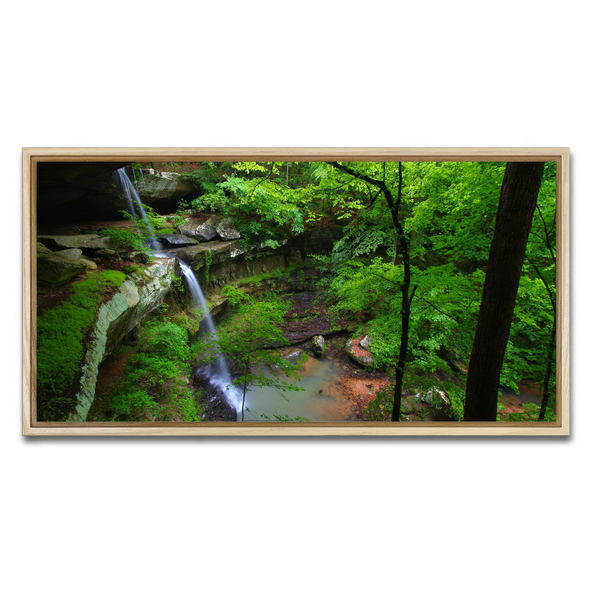 AUTO-MOCKUP WHITE | Bankhead National Forest | 1 Piece | Natural Framed Canvas | group=2x1
