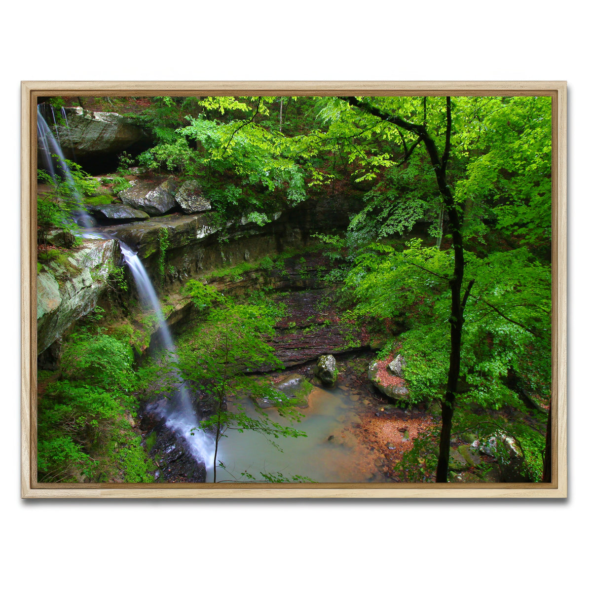 AUTO-MOCKUP WHITE | Bankhead National Forest | 1 Piece | Natural Framed Canvas | group=4x3