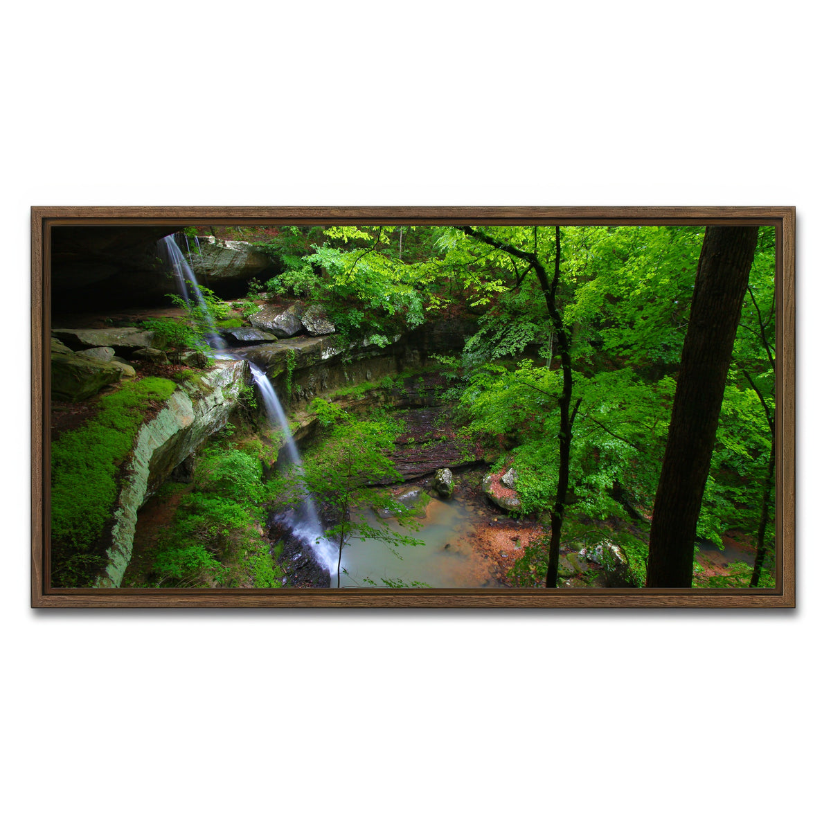 AUTO-MOCKUP WHITE | Bankhead National Forest | 1 Piece | Walnut Framed Canvas | group=2x1