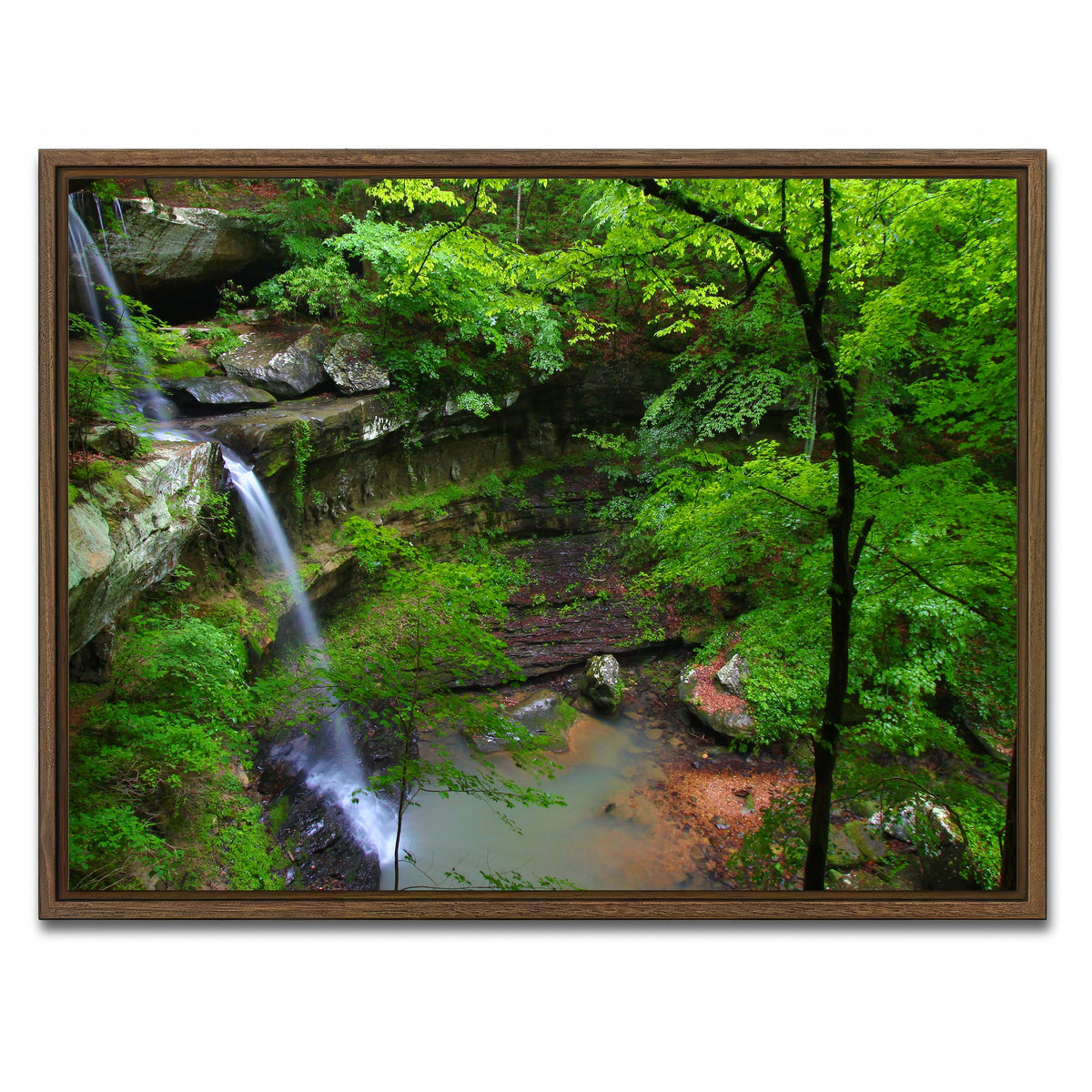 AUTO-MOCKUP WHITE | Bankhead National Forest | 1 Piece | Walnut Framed Canvas | group=4x3