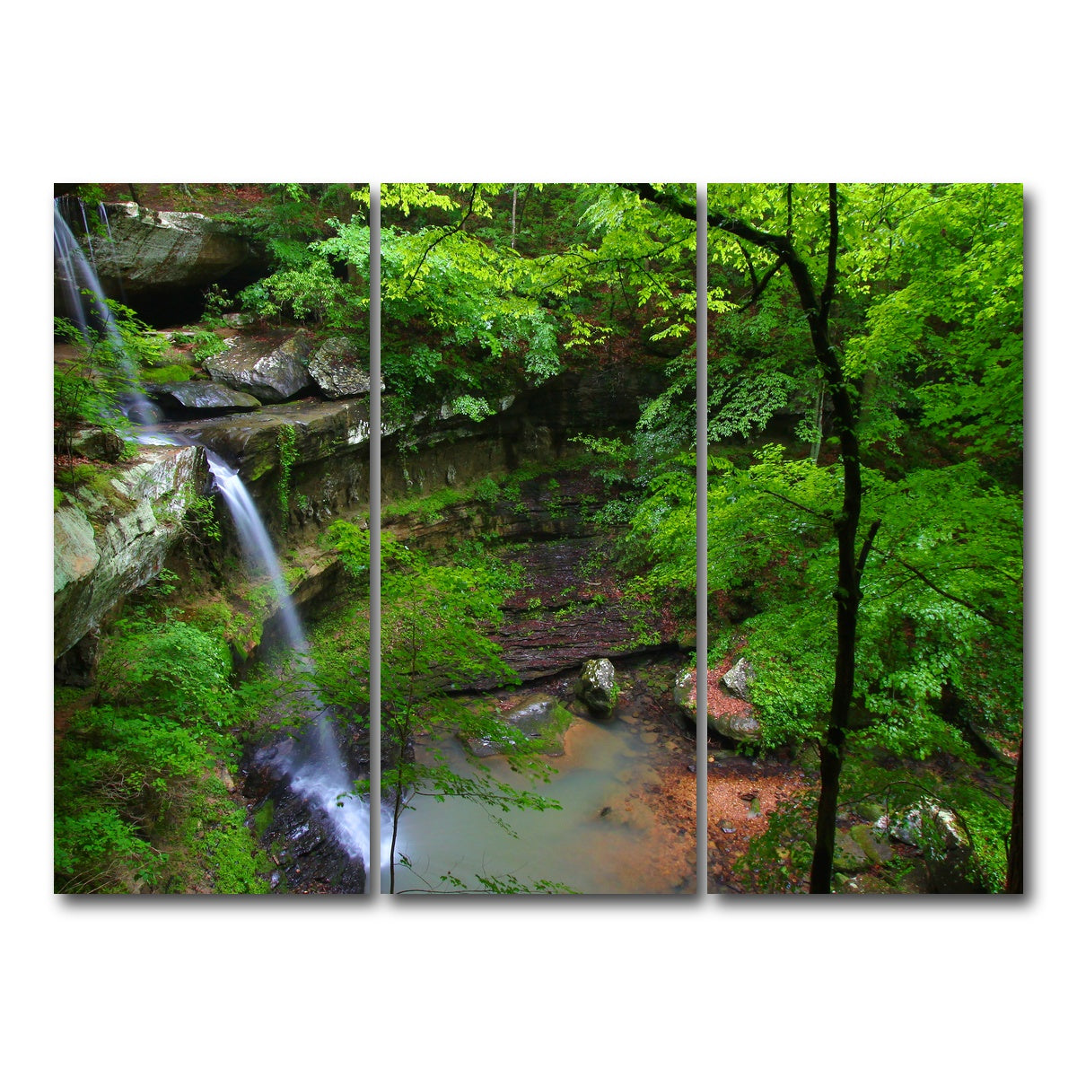 AUTO-MOCKUP WHITE | Bankhead National Forest | 3 Piece | Gallery Wrap Canvas | group=8x18