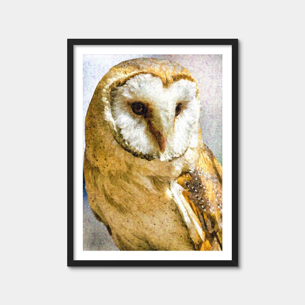 Barn Owl Wall Art — Framed Print Format preview