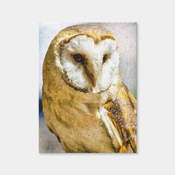 Barn Owl Wall Art — Canvas Wrap Format preview