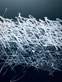 Bash b&W Wall Art