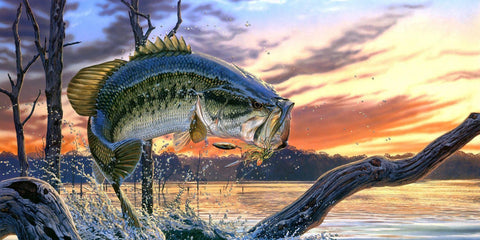 Bass Wall Art