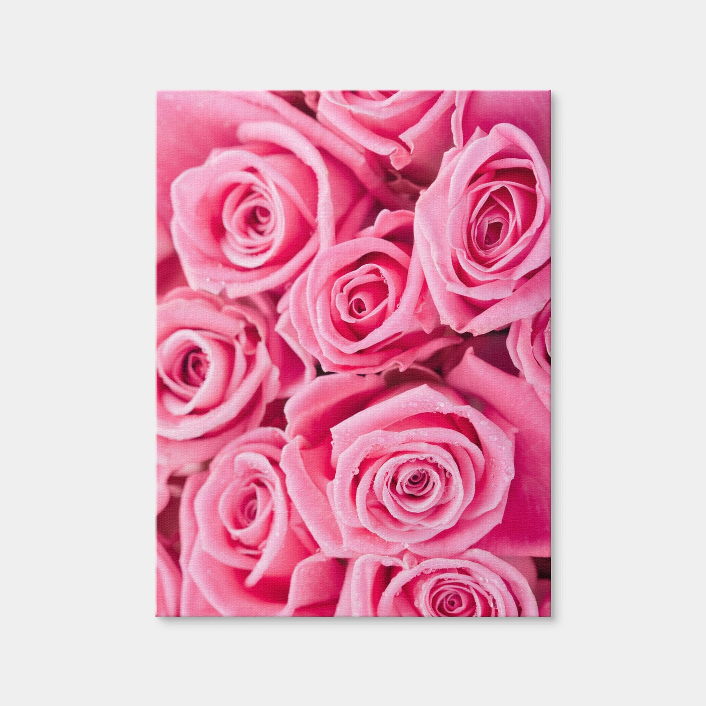 AUTO-MOCKUP WHITE | Batch of Pink Roses | 1 Piece | Gallery Wrap Canvas | group=3x4