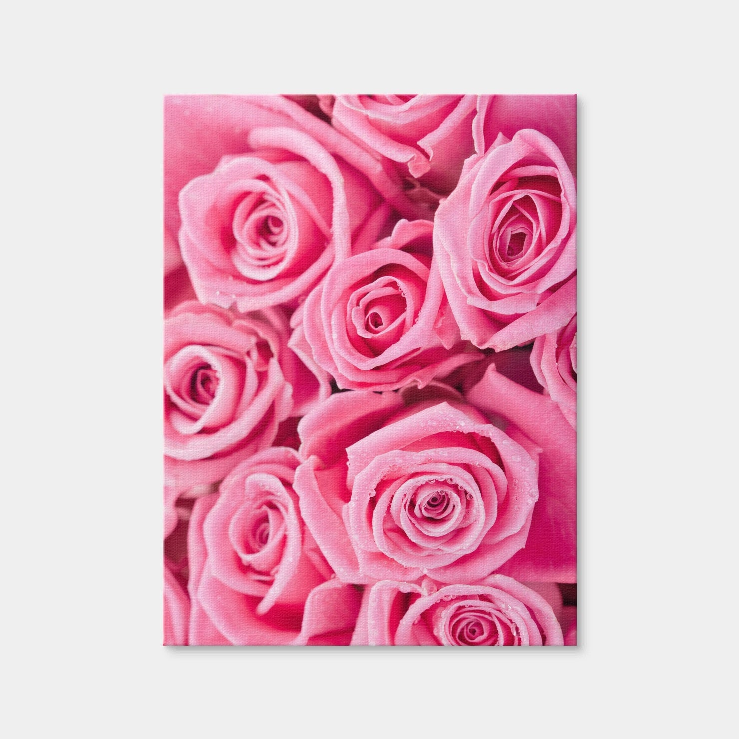 AUTO-MOCKUP WHITE | Batch of Pink Roses | 1 Piece | Gallery Wrap Canvas | group=3x4