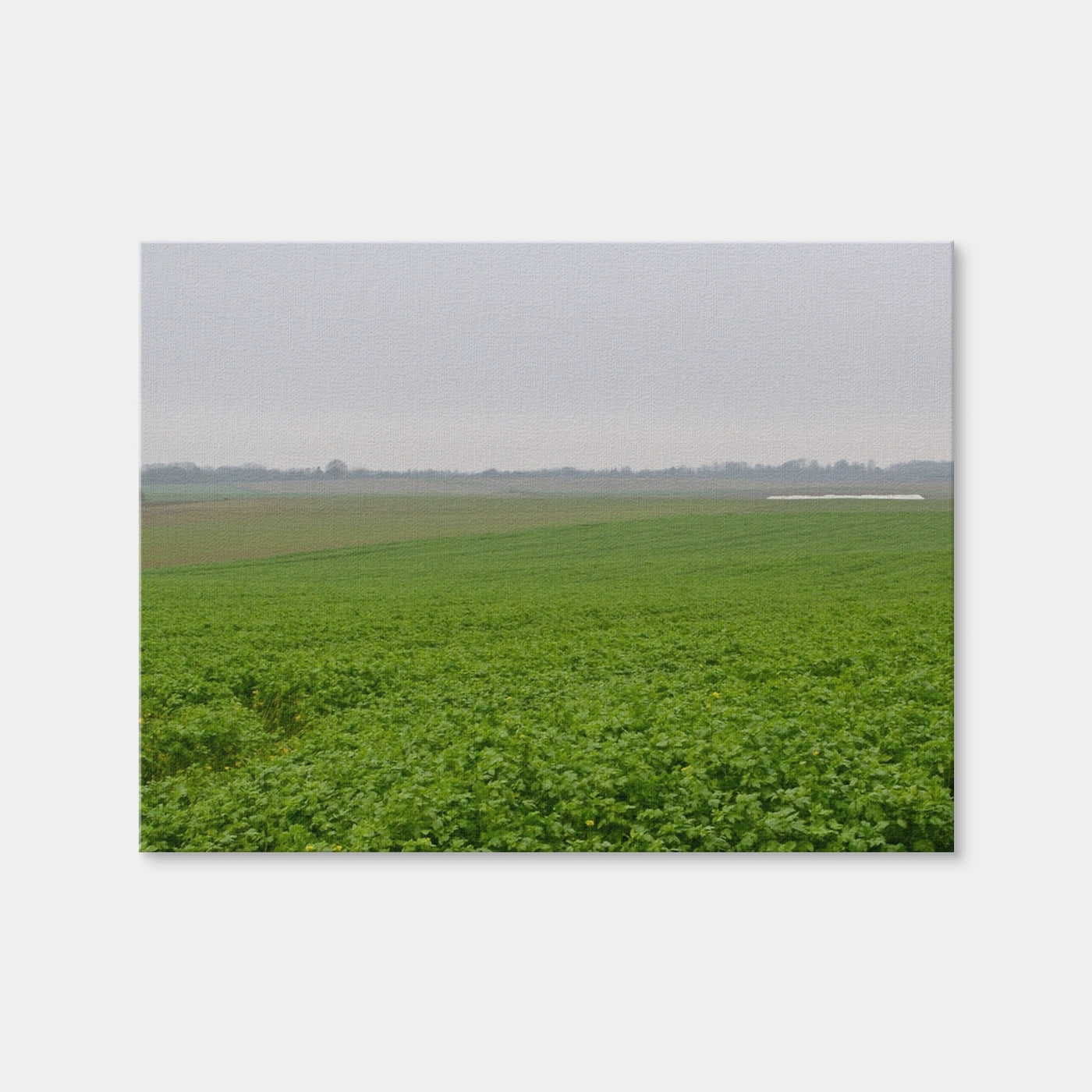 AUTO-MOCKUP WHITE | Battle of Waterloo | 1 Piece | Gallery Wrap Canvas | group=4x3