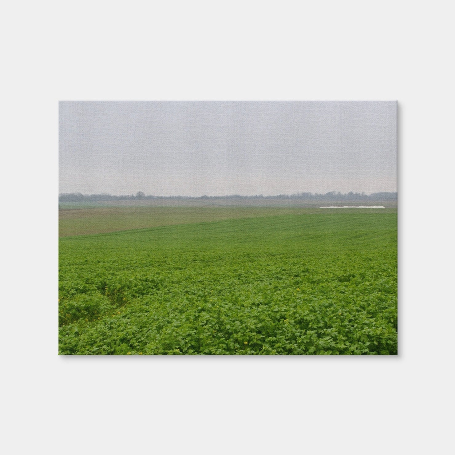 AUTO-MOCKUP WHITE | Battle of Waterloo | 1 Piece | Gallery Wrap Canvas | group=4x3