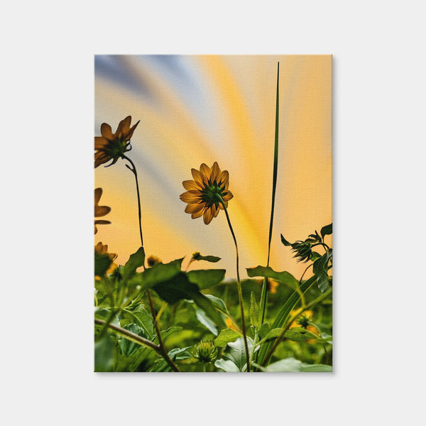 Beach Sunflowers Wall Art — Canvas Wrap Format preview