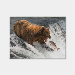 AUTO-MOCKUP WHITE | Bear Catching Salmon | 1 Piece | Gallery Wrap Canvas | group=4x3