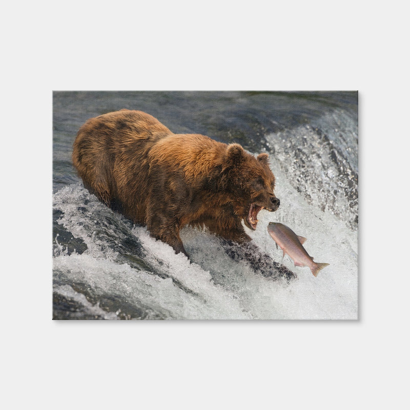 AUTO-MOCKUP WHITE | Bear Catching Salmon | 1 Piece | Gallery Wrap Canvas | group=4x3