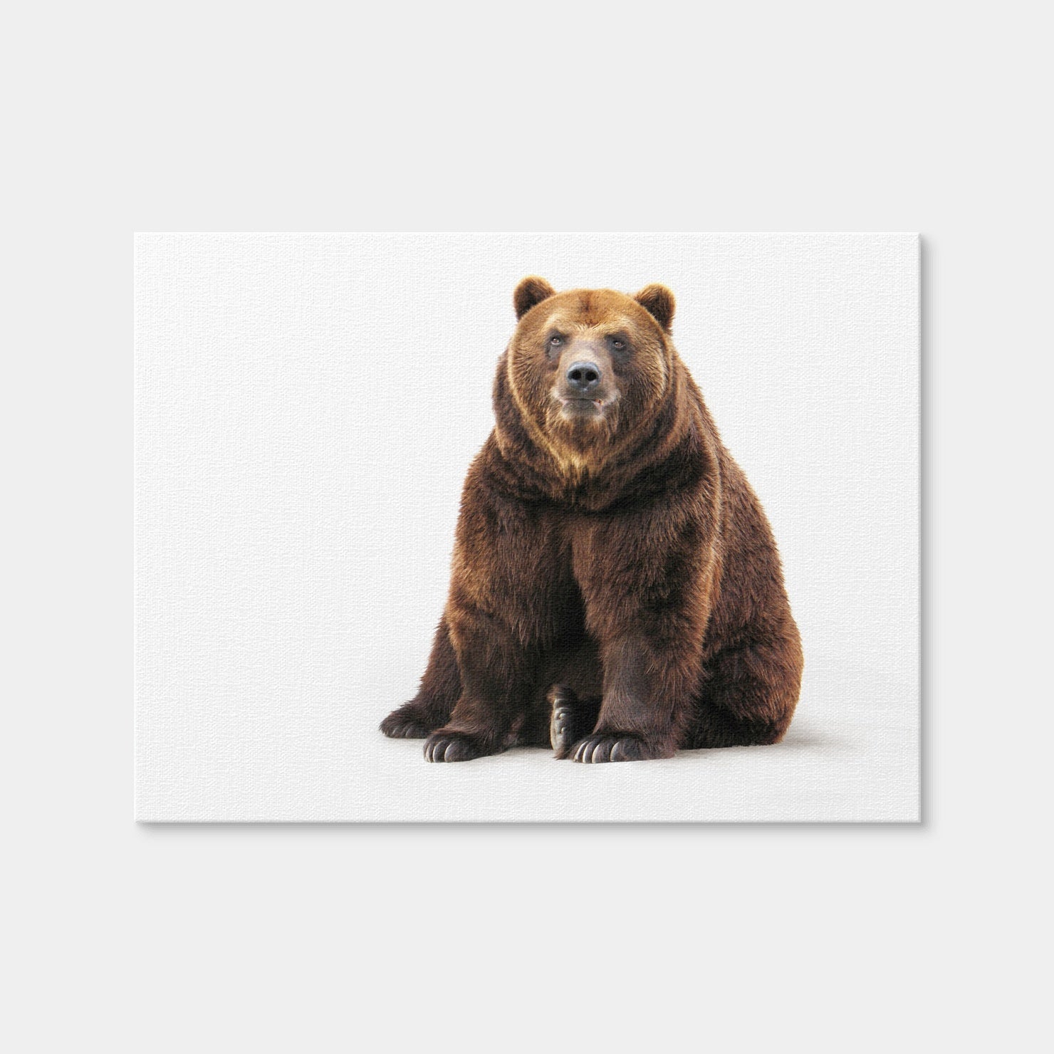 AUTO-MOCKUP WHITE | Bear on White | 1 Piece | Gallery Wrap Canvas | group=4x3