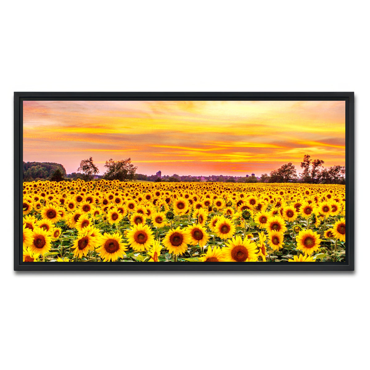 AUTO-MOCKUP WHITE | Bed of Sunflowers | 1 Piece | Black Framed Canvas | group=2x1