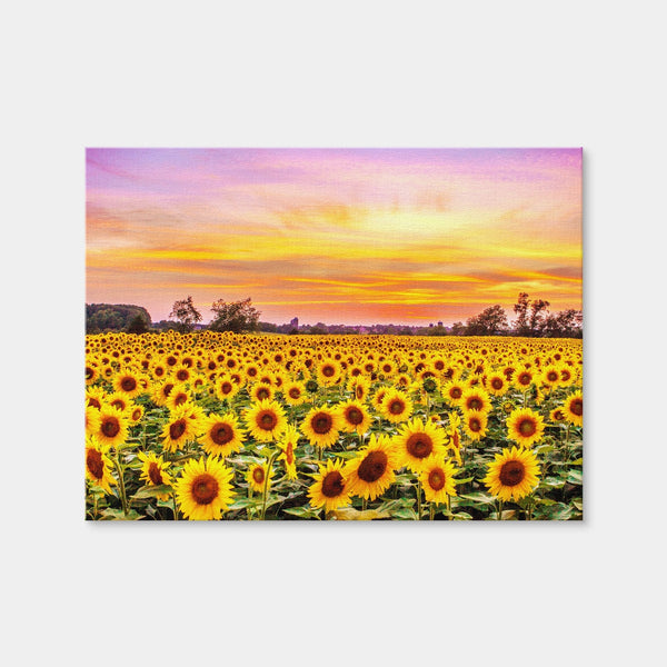 Bed of Sunflowers Wall Art — Canvas Wrap Format preview