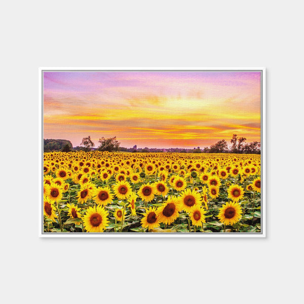 Bed of Sunflowers Wall Art — Framed Canvas Format preview