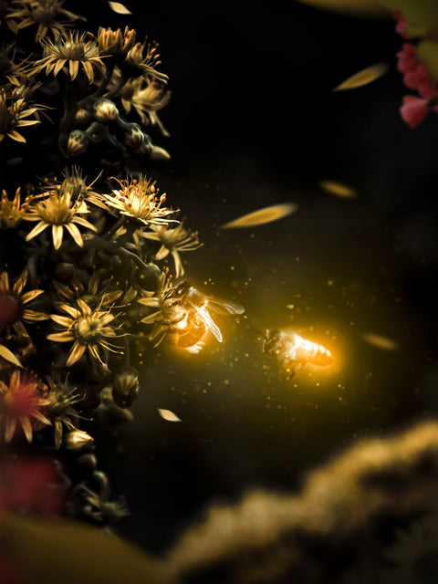 Bees Wall Art