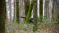 Belleau Wood Wall Art