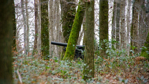 Belleau Wood Wall Art