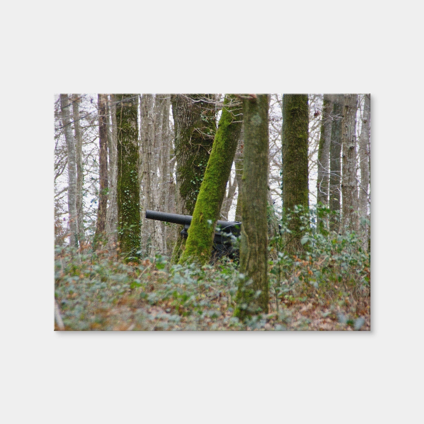 AUTO-MOCKUP WHITE | Belleau Wood | 1 Piece | Gallery Wrap Canvas | group=4x3