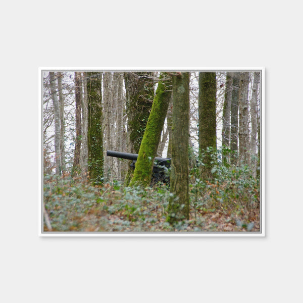 Belleau Wood Wall Art — Framed Canvas Format preview