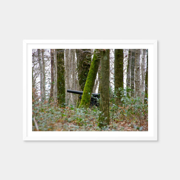 Belleau Wood Wall Art — Framed Print Format preview