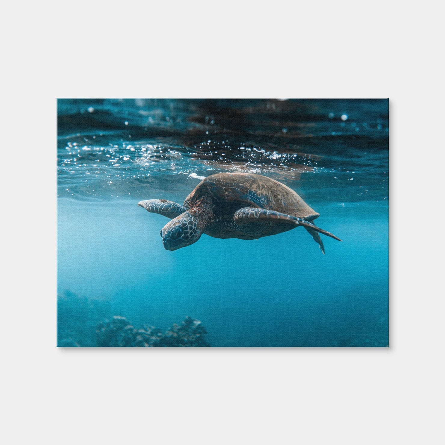 AUTO-MOCKUP WHITE | Below the Surface | 1 Piece | Gallery Wrap Canvas | group=4x3