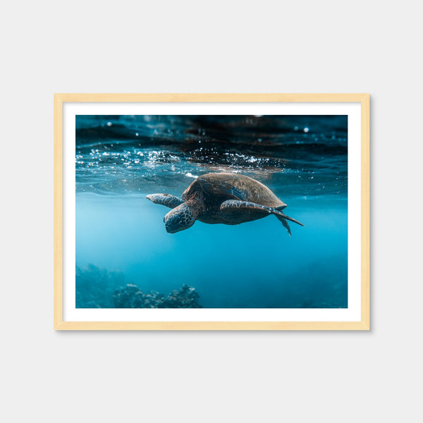 Below the Surface Wall Art — Framed Print Format preview