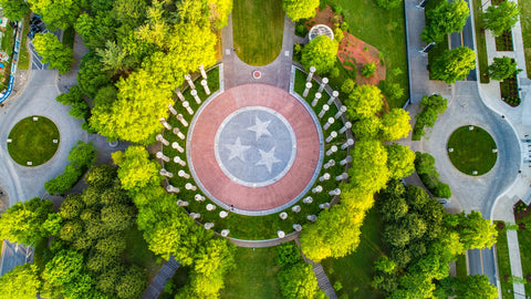 Bicentennial Park Wall Art