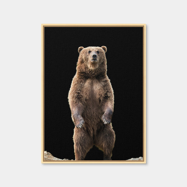 Big Brown Bear Standing Wall Art — Framed Canvas Format preview