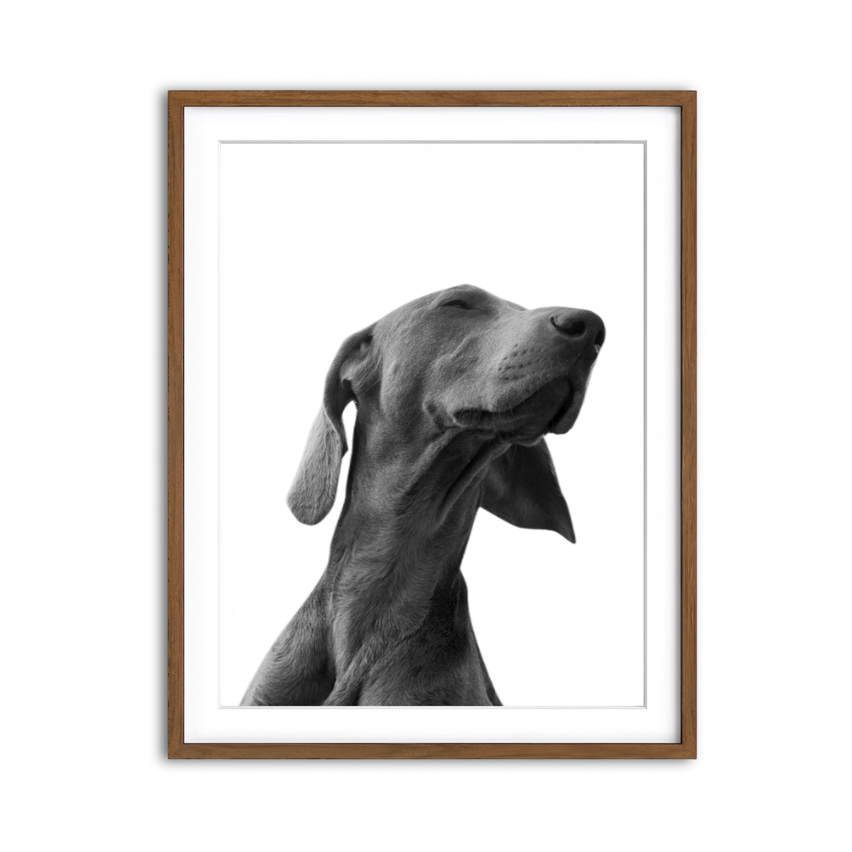 Framed Print 3x4 Walnut