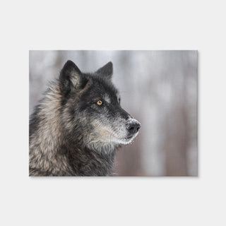 AUTO-MOCKUP WHITE | Black Grey Wolf | 1 Piece | Gallery Wrap Canvas | group=4x3