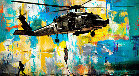 Black Hawk Wall Art