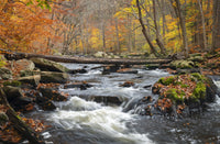 Black River Catskills NY Wall Art
