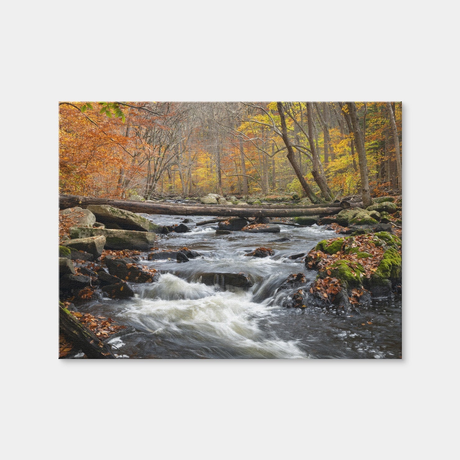 AUTO-MOCKUP WHITE | Black River Catskills NY | 1 Piece | Gallery Wrap Canvas | group=4x3