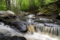 Black River in Summer Wall Art