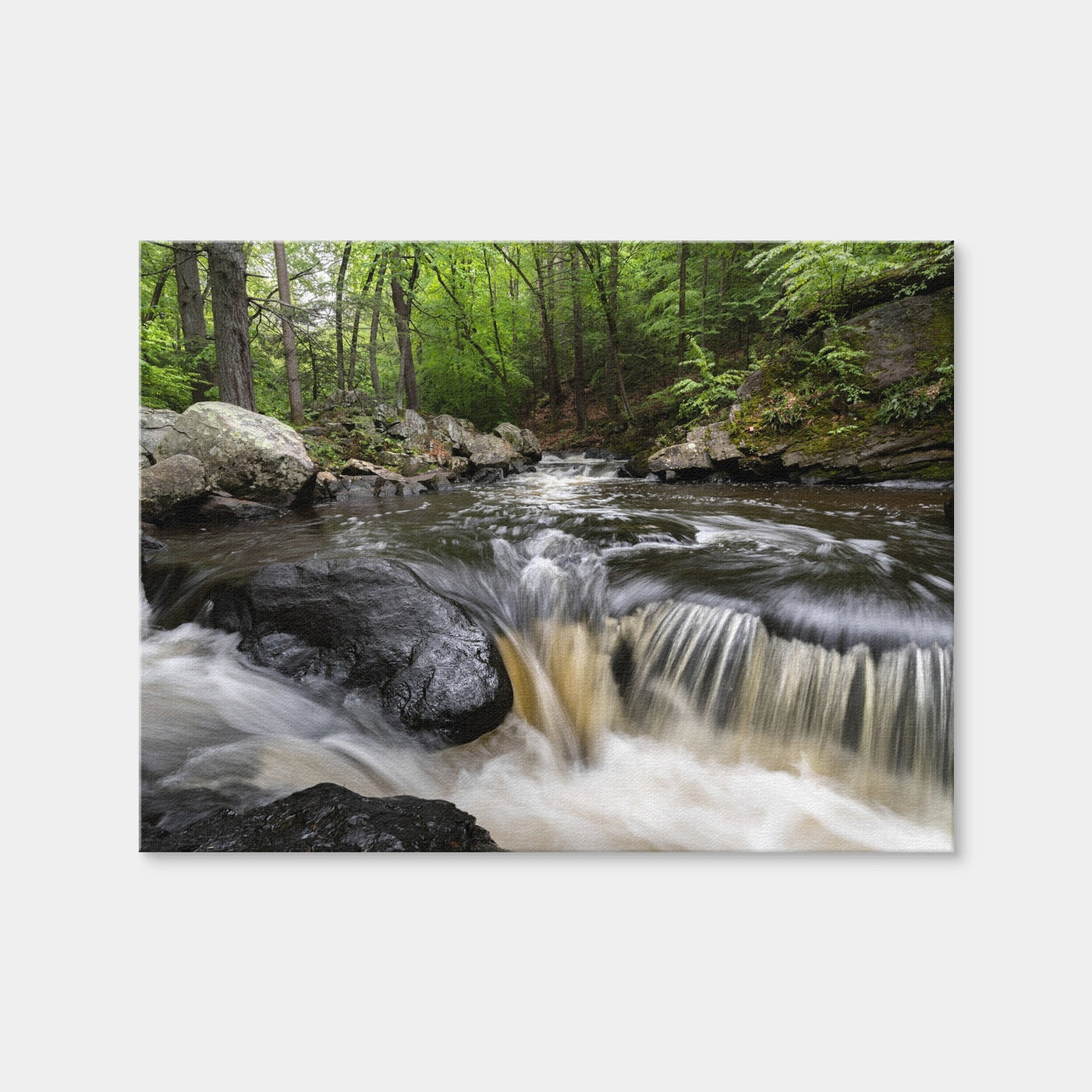 AUTO-MOCKUP WHITE | Black River in Summer | 1 Piece | Gallery Wrap Canvas | group=4x3