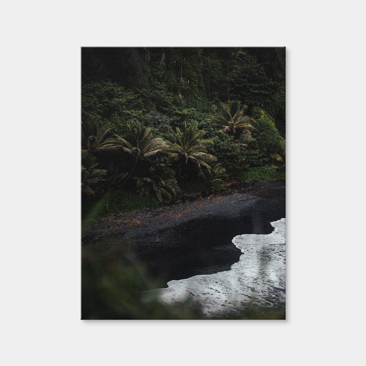 AUTO-MOCKUP WHITE | Black Sand Palms | 1 Piece | Gallery Wrap Canvas | group=3x4