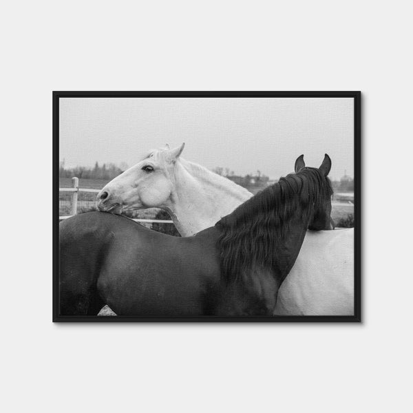 Black & White Horses Wall Art — Framed Canvas Format preview