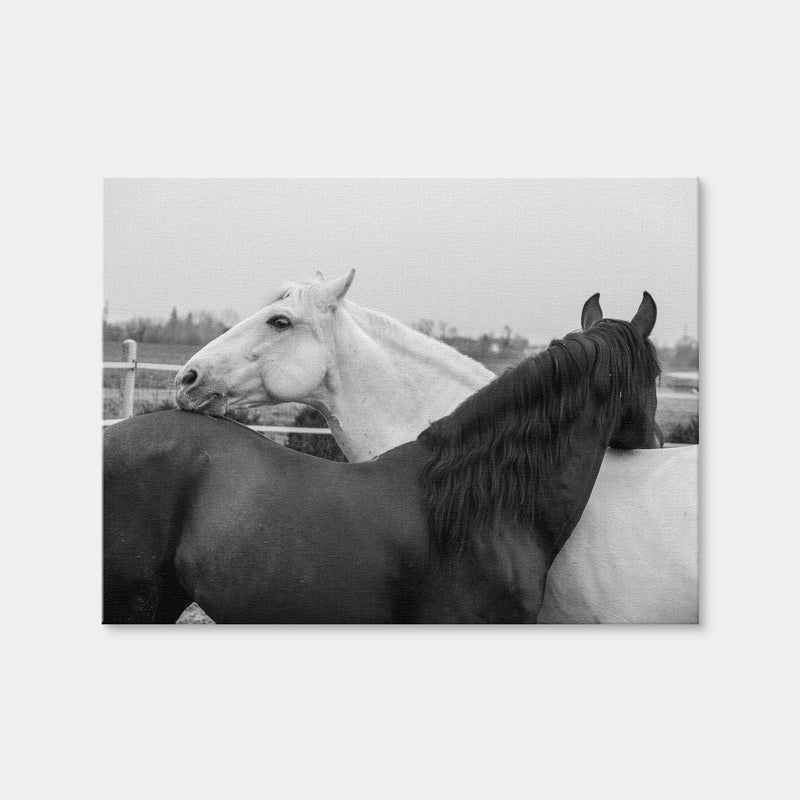 AUTO-MOCKUP WHITE | Black & White Horses | 1 Piece | Gallery Wrap Canvas | group=4x3