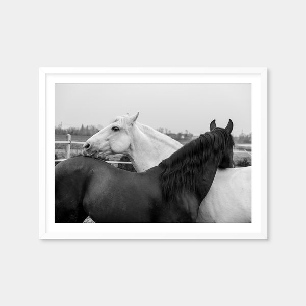 Black & White Horses Wall Art — Framed Print Format preview