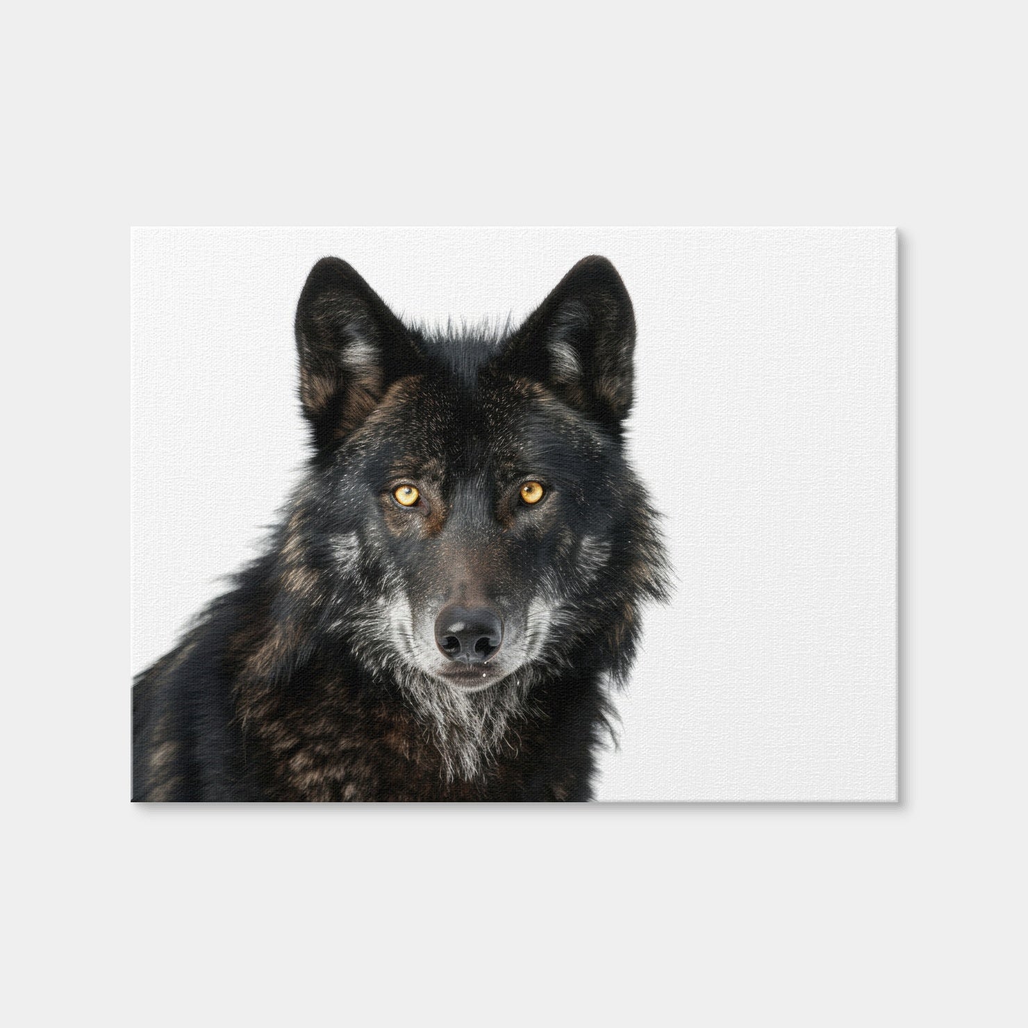AUTO-MOCKUP WHITE | Black Wolf White Background | 1 Piece | Gallery Wrap Canvas | group=4x3