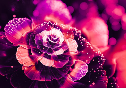 Bloom Wall Art
